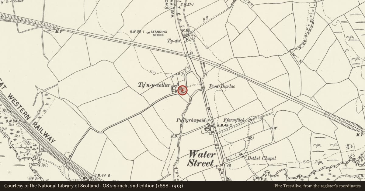Ordnance Survey six-inch map, 2nd edition (1888–1913) covering the location of Ty'n y Cellar and adjoining Barn, Margam, Neath Port Talbot, with a pin at the register's coordinates