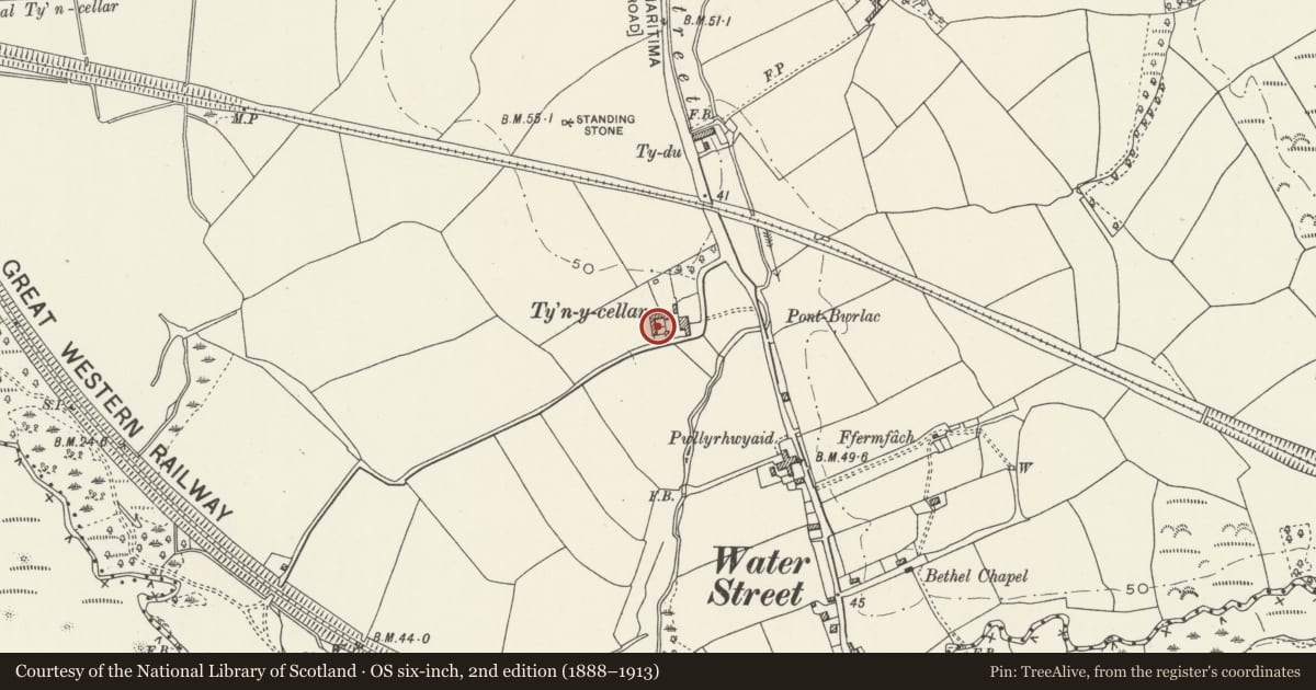 Ordnance Survey six-inch map, 2nd edition (1888–1913) covering the location of Cart Shed, Stable and Cow-House at Ty'n y Cellar, Margam, Neath Port Talbot, with a pin at the register's coordinates