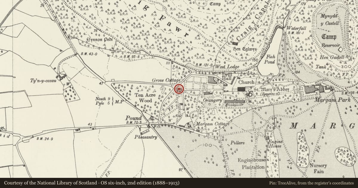 Ordnance Survey six-inch map, 2nd edition (1888–1913) covering the location of 3 Grove Cottages, Margam, Neath Port Talbot, with a pin at the register's coordinates