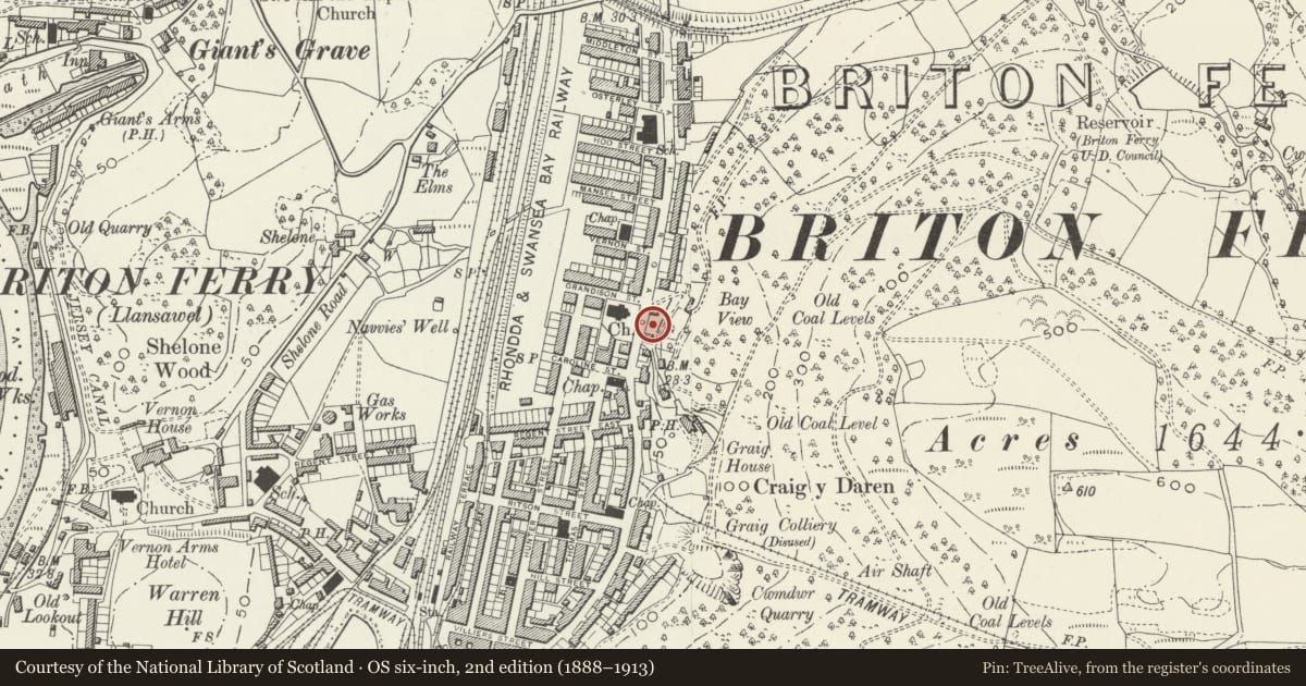 Ordnance Survey six-inch map, 2nd edition (1888–1913) covering the location of War Memorial, including revetments and steps, Briton Ferry, Neath Port Talbot, with a pin at the register's coordinates