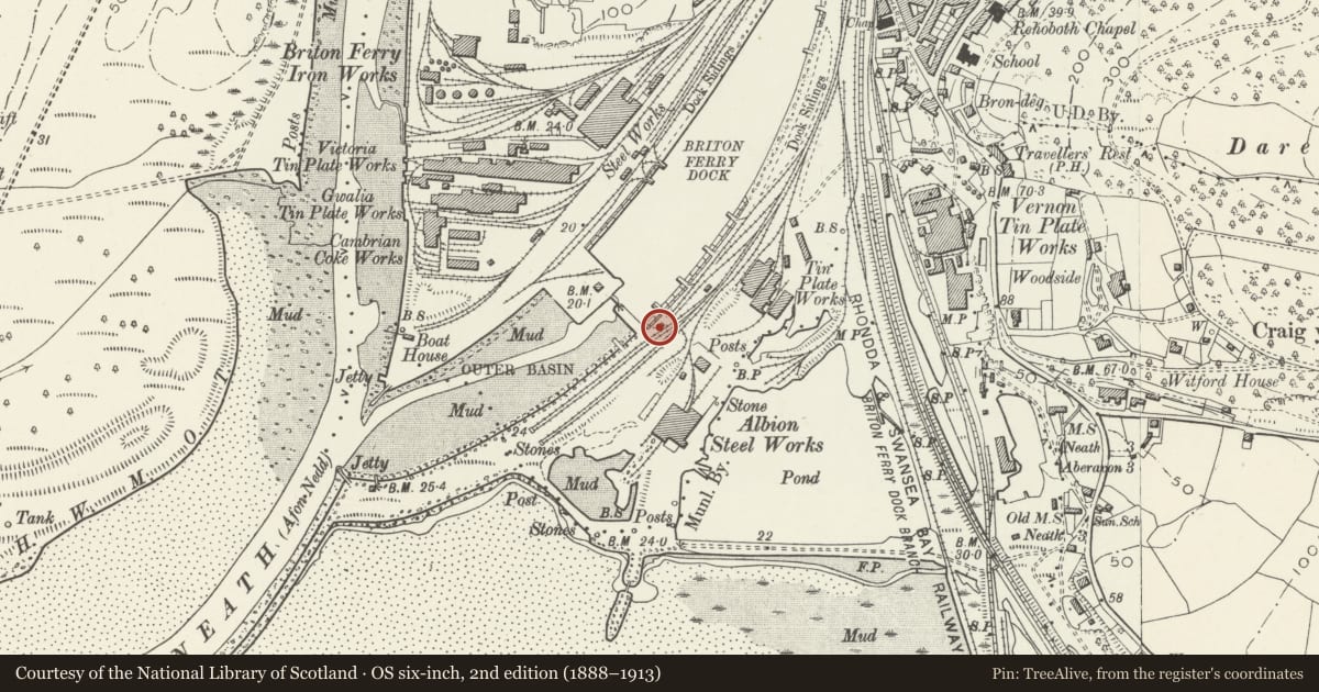 Ordnance Survey six-inch map, 2nd edition (1888–1913) covering the location of Hydro-accumulator tower at Briton Ferry Docks, Neath Port Talbot, with a pin at the register's coordinates