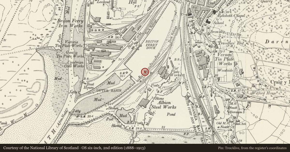 Ordnance Survey six-inch map, 2nd edition (1888–1913) covering the location of Dock walls and gate between inner dock and outer basin at Briton Ferry Docks, Neath Port Talbot, with a pin at the register's coordinates