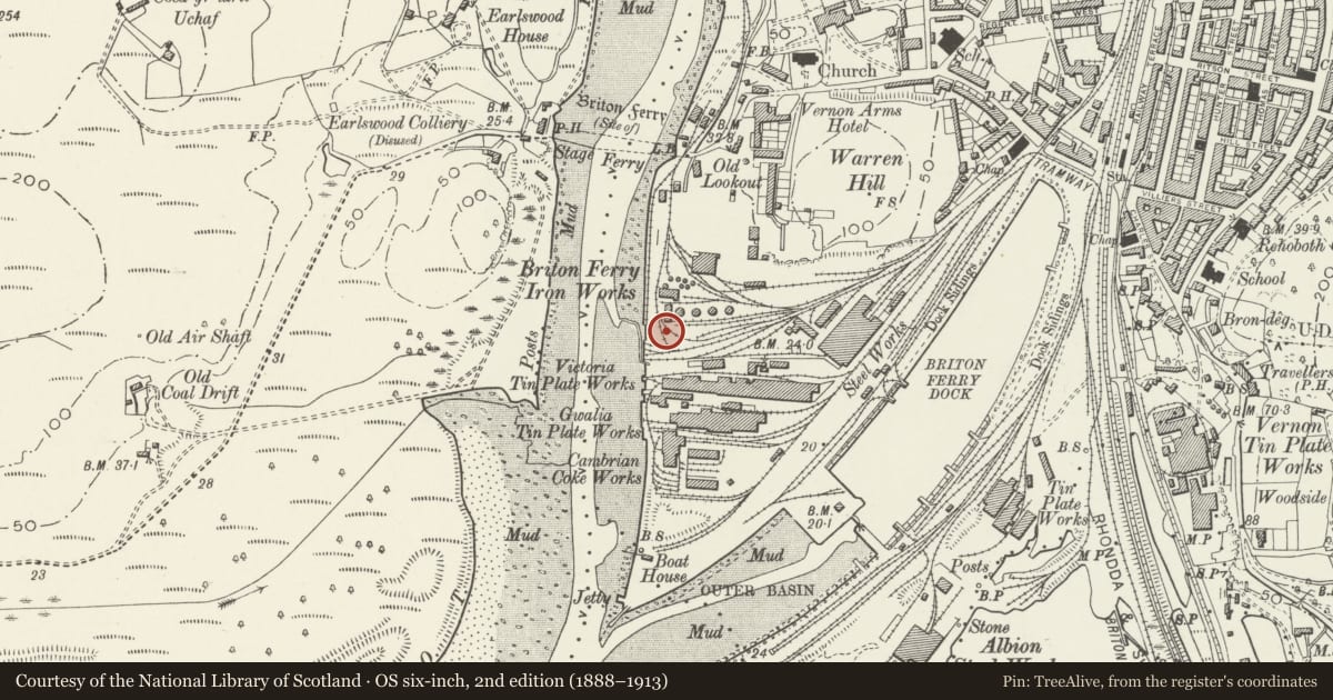 Ordnance Survey six-inch map, 2nd edition (1888–1913) covering the location of Briton Ferry Ironworks Engine House, Neath Port Talbot, with a pin at the register's coordinates