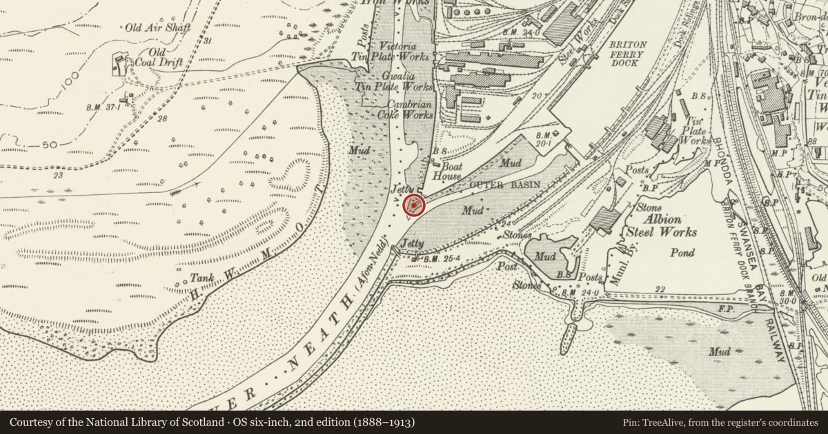 Ordnance Survey six-inch map, 2nd edition (1888–1913) covering the location of North jetty of outer tidal basin at Briton Ferry Docks, Neath Port Talbot, with a pin at the register's coordinates