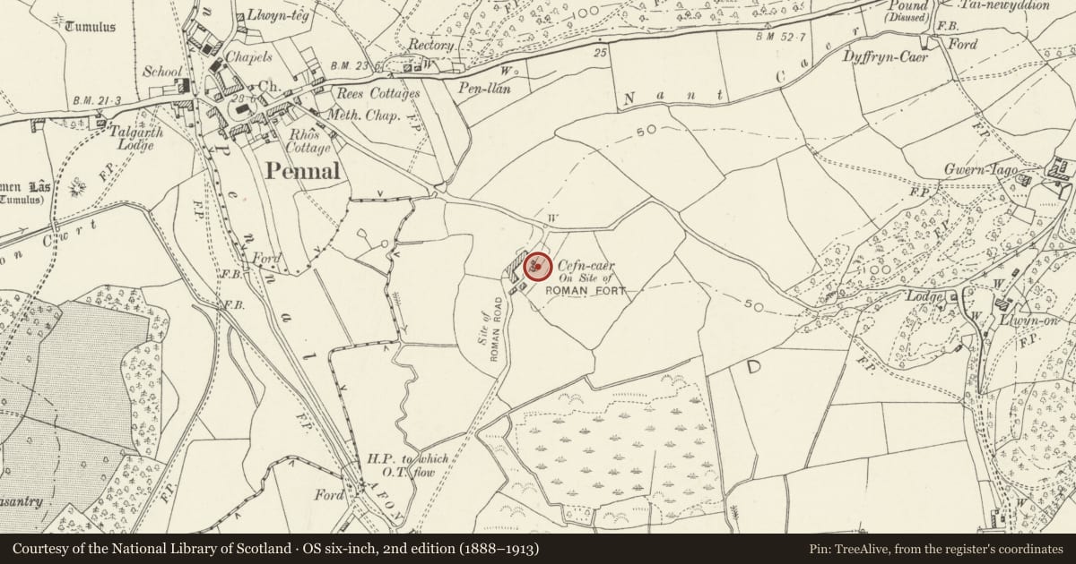 Ordnance Survey six-inch map, 2nd edition (1888–1913) covering the location of Outbuilding at Cefn-caer, Pennal, Gwynedd, with a pin at the register's coordinates