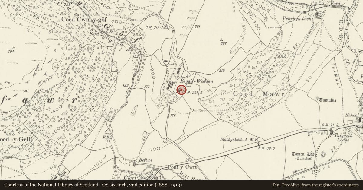 Ordnance Survey six-inch map, 2nd edition (1888–1913) covering the location of Esgair Weddan, Pennal, Gwynedd, with a pin at the register's coordinates