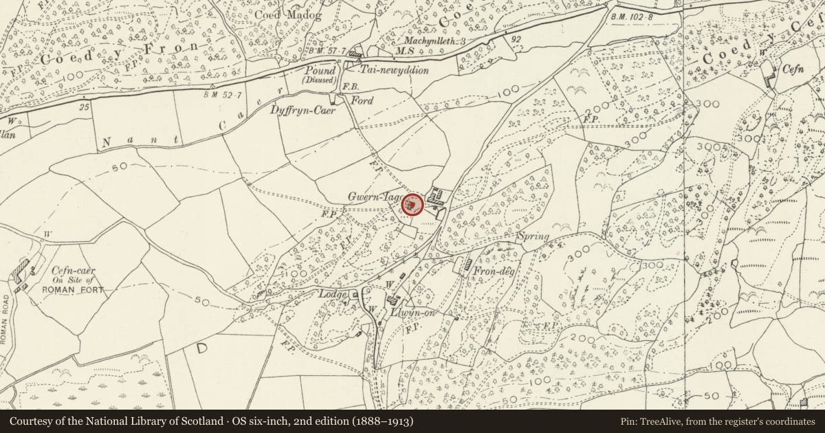 Ordnance Survey six-inch map, 2nd edition (1888–1913) covering the location of Gwerniago, Pennal, Gwynedd, with a pin at the register's coordinates