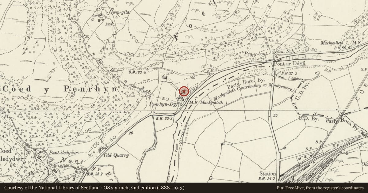 Ordnance Survey six-inch map, 2nd edition (1888–1913) covering the location of Penrhyn-Dyfi, Pennal, Gwynedd, with a pin at the register's coordinates