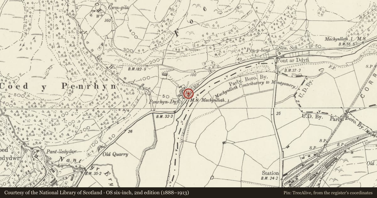 Ordnance Survey six-inch map, 2nd edition (1888–1913) covering the location of Milestone, Pennal, Gwynedd, with a pin at the register's coordinates