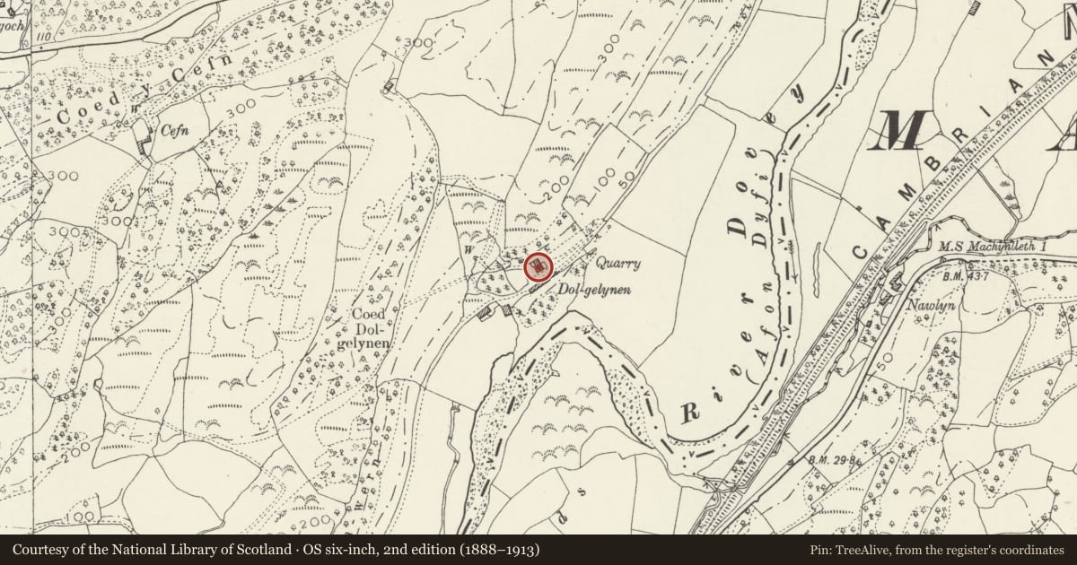 Ordnance Survey six-inch map, 2nd edition (1888–1913) covering the location of Dolgelynen, including front garden walls, Pennal, Gwynedd, with a pin at the register's coordinates