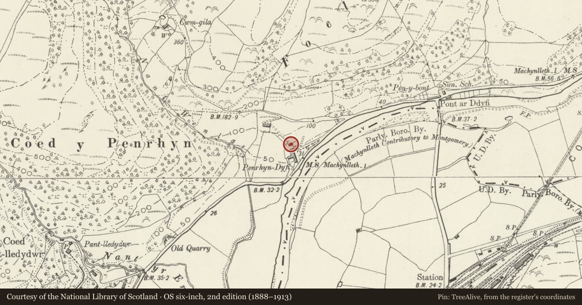 Ordnance Survey six-inch map, 2nd edition (1888–1913) covering the location of Pigsty Range at Penrhyn-dyfi, Pennal, Gwynedd, with a pin at the register's coordinates