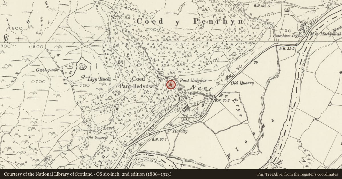 Ordnance Survey six-inch map, 2nd edition (1888–1913) covering the location of Pant Lludw, Pennal, Gwynedd, with a pin at the register's coordinates
