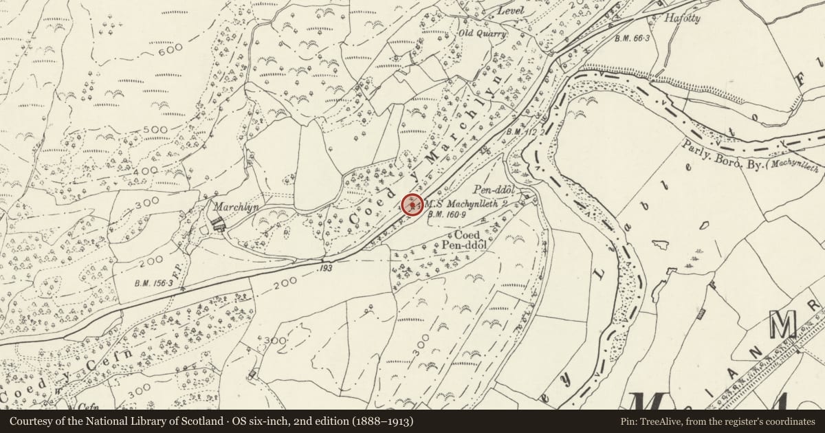 Ordnance Survey six-inch map, 2nd edition (1888–1913) covering the location of Milestone, Pennal, Gwynedd, with a pin at the register's coordinates