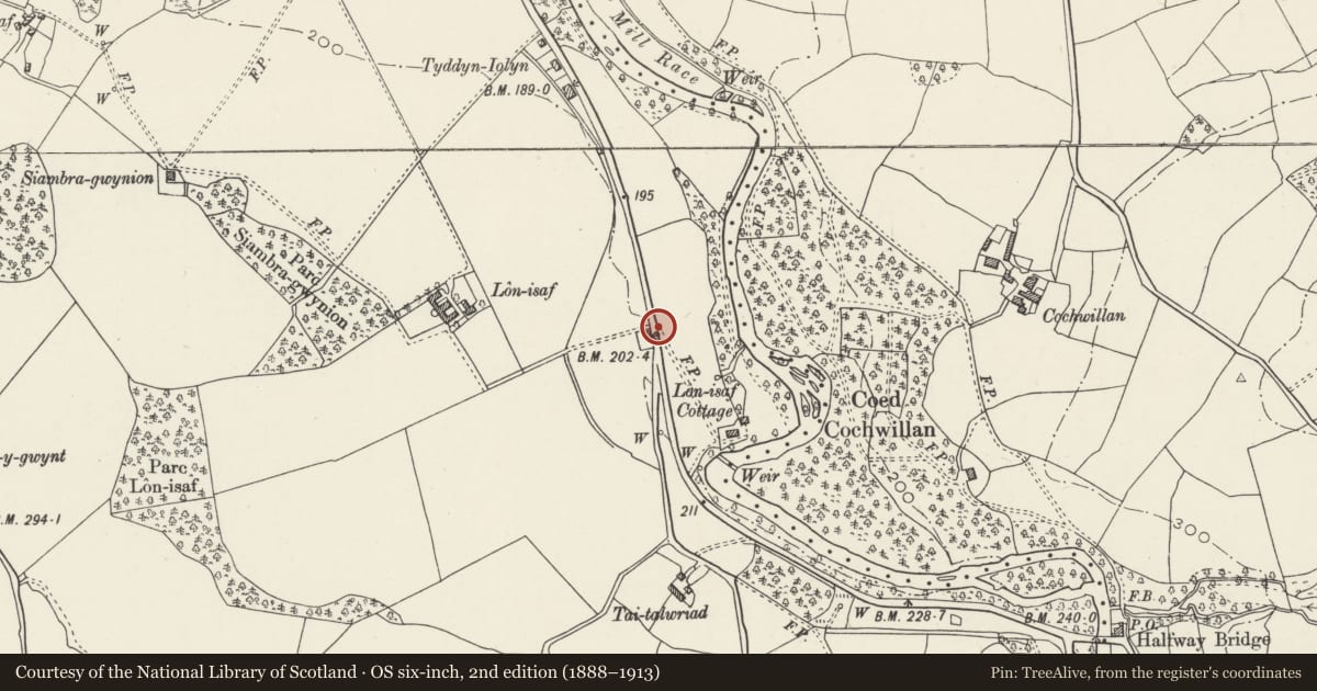 Ordnance Survey six-inch map, 2nd edition (1888–1913) covering the location of Weigh House at Lon-Isaf Gate, Llandygai, Gwynedd, with a pin at the register's coordinates