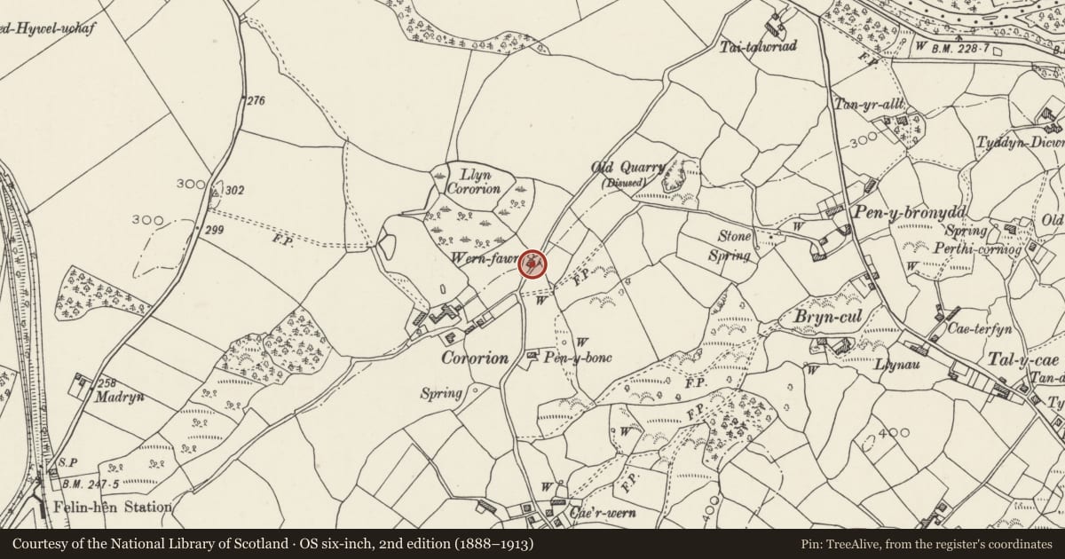 Ordnance Survey six-inch map, 2nd edition (1888–1913) covering the location of Wern-fawr, Llandygai, Gwynedd, with a pin at the register's coordinates