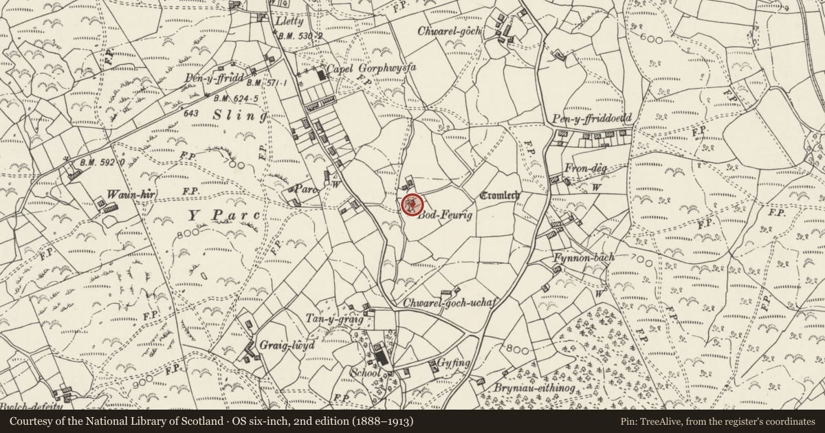 Ordnance Survey six-inch map, 2nd edition (1888–1913) covering the location of Bod Feurig, Llandygai, Gwynedd, with a pin at the register's coordinates