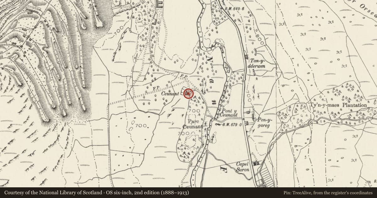 Ordnance Survey six-inch map, 2nd edition (1888–1913) covering the location of Slate fencing, rubblestone walling and privies at Ceunant, Llandygai, Gwynedd, with a pin at the register's coordinates