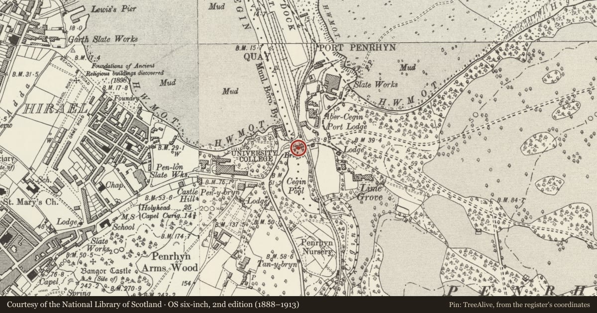 Ordnance Survey six-inch map, 2nd edition (1888–1913) covering the location of Pont Penrhyn (partly in Bangor community), Llandygai, Gwynedd, with a pin at the register's coordinates