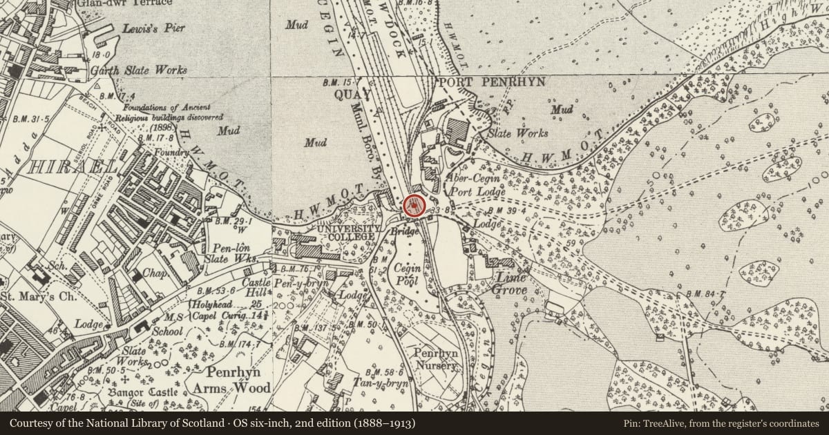Ordnance Survey six-inch map, 2nd edition (1888–1913) covering the location of Hen Swyddfa'r Porthladd (Old Port Office), Llandygai, Gwynedd, with a pin at the register's coordinates
