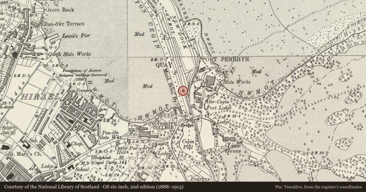 Ordnance Survey six-inch map, 2nd edition (1888–1913) covering the location of Dockmaster's Office, Llandygai, Gwynedd, with a pin at the register's coordinates