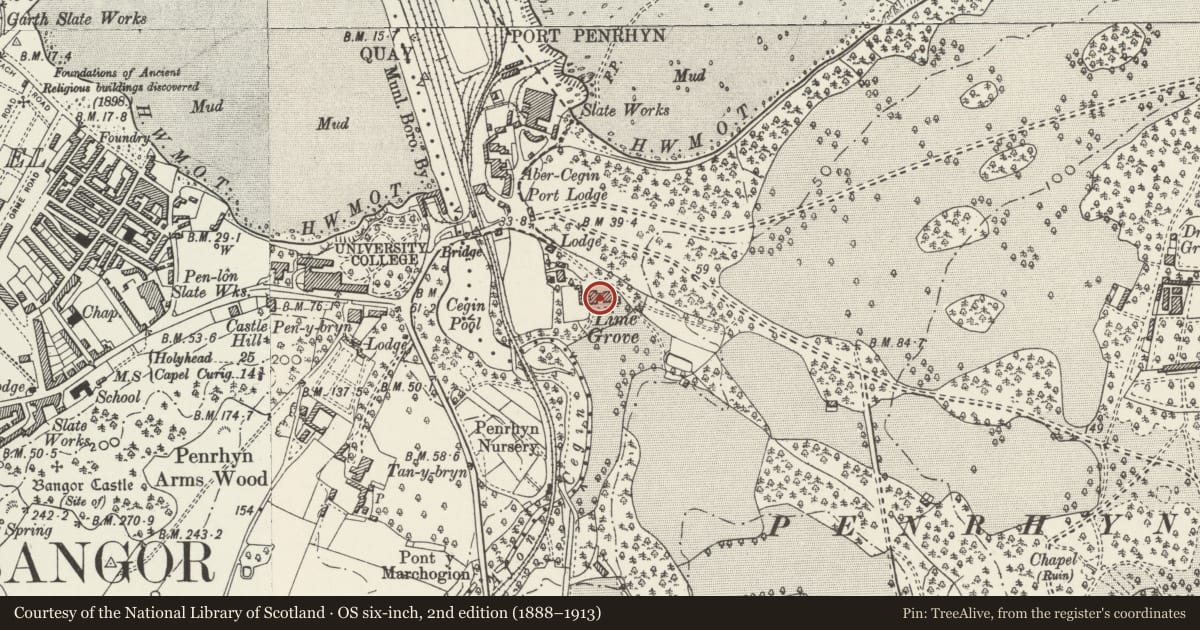Ordnance Survey six-inch map, 2nd edition (1888–1913) covering the location of Plas y Coed, Llandygai, Gwynedd, with a pin at the register's coordinates