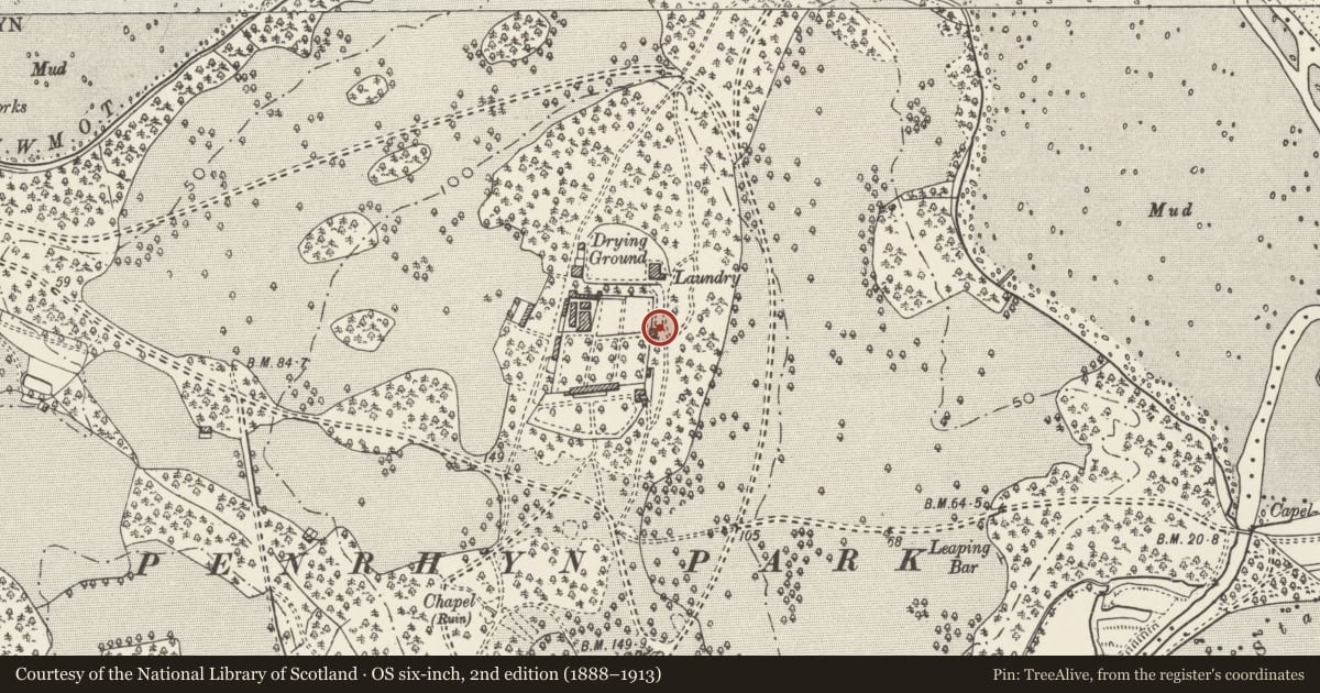Ordnance Survey six-inch map, 2nd edition (1888–1913) covering the location of Kitchen garden wall and attached outbuildings, Llandygai, Gwynedd, with a pin at the register's coordinates