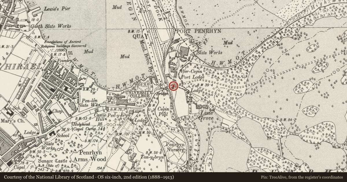 Ordnance Survey six-inch map, 2nd edition (1888–1913) covering the location of Parapet/Boundary Walls on Port Lodge approach to Penrhyn Castle, Llandygai, Gwynedd, with a pin at the register's coordinates
