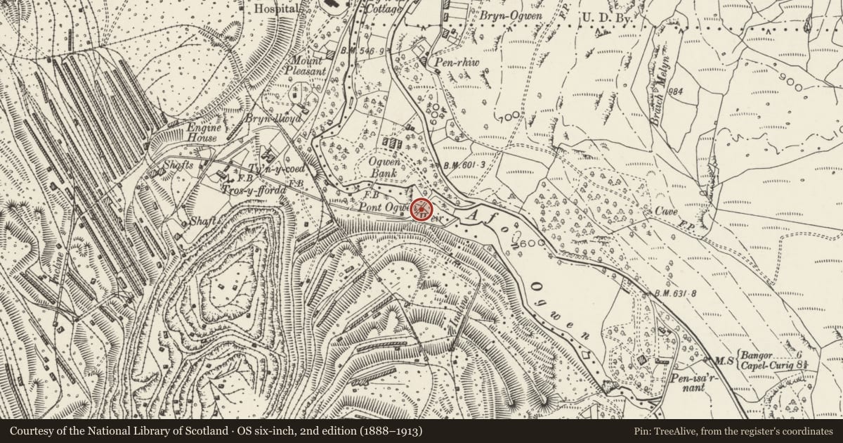 Ordnance Survey six-inch map, 2nd edition (1888–1913) covering the location of Pont Ogwen (partly in Llanllechid community), Llandygai, Gwynedd, with a pin at the register's coordinates