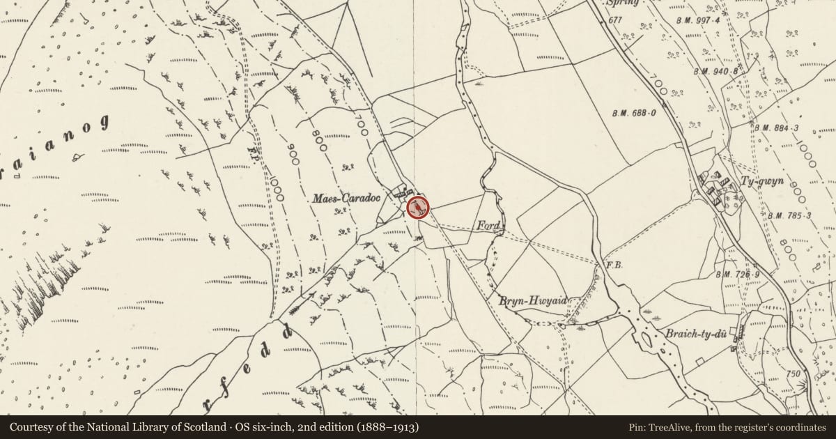 Ordnance Survey six-inch map, 2nd edition (1888–1913) covering the location of Maes-Caradoc, Llandygai, Gwynedd, with a pin at the register's coordinates