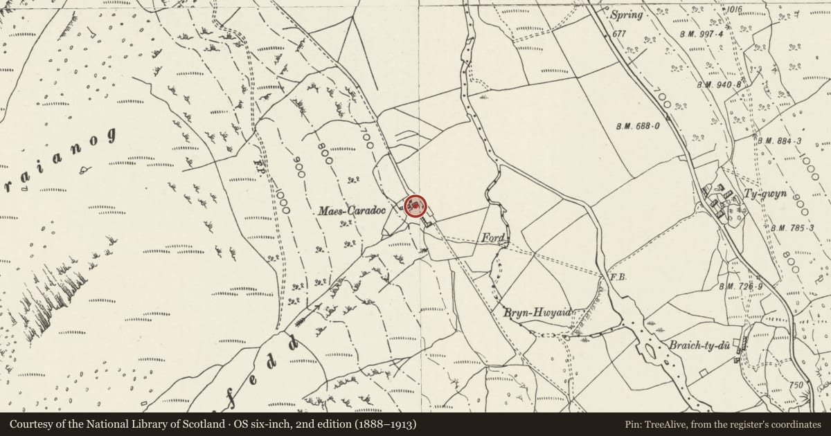 Ordnance Survey six-inch map, 2nd edition (1888–1913) covering the location of 'Old Coach House' at Maes-Caradoc, Llandygai, Gwynedd, with a pin at the register's coordinates