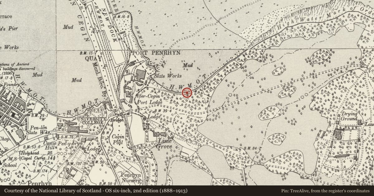 Ordnance Survey six-inch map, 2nd edition (1888–1913) covering the location of Penrhyn Park Boundary Wall (partly in Llanllechid community), Llandygai, Gwynedd, with a pin at the register's coordinates