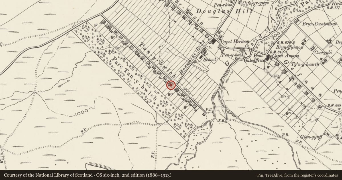 Ordnance Survey six-inch map, 2nd edition (1888–1913) covering the location of 24 Tan y Bwlch, Llandygai, Gwynedd, with a pin at the register's coordinates