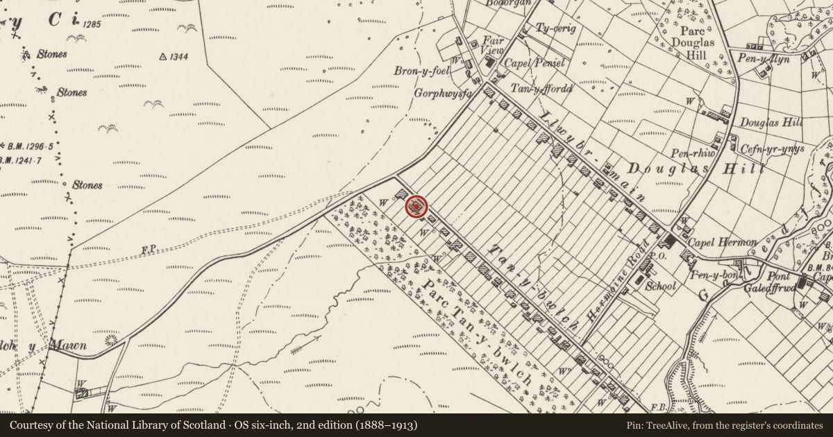 Ordnance Survey six-inch map, 2nd edition (1888–1913) covering the location of 3 Tan y Bwlch, Llandygai, Gwynedd, with a pin at the register's coordinates