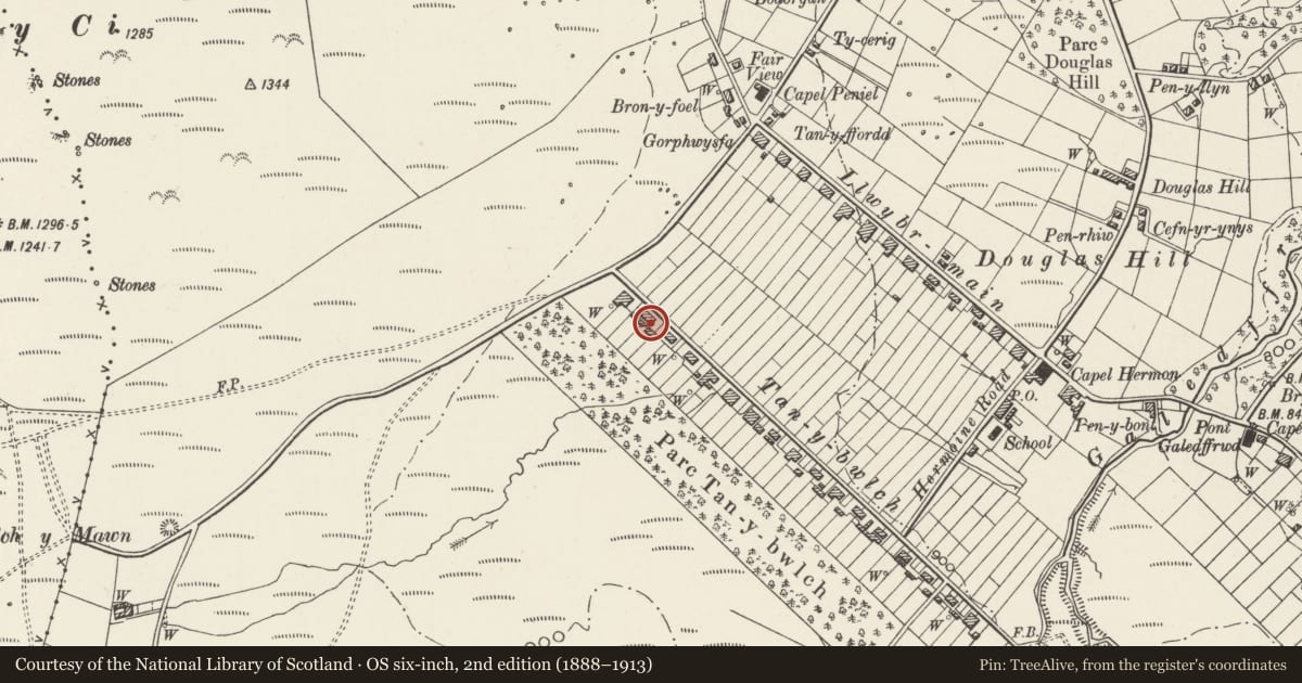 Ordnance Survey six-inch map, 2nd edition (1888–1913) covering the location of 4 Tan y Bwlch, Llandygai, Gwynedd, with a pin at the register's coordinates
