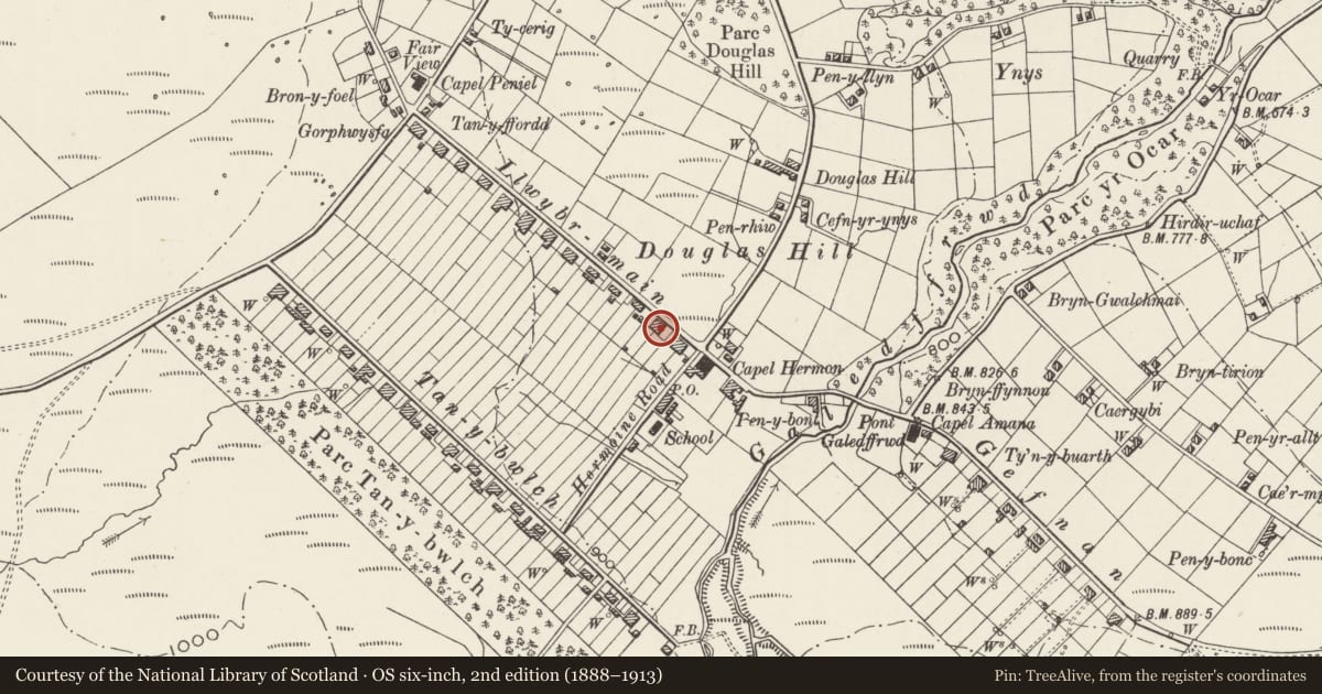 Ordnance Survey six-inch map, 2nd edition (1888–1913) covering the location of 24 Llwybr Main, Llandygai, Gwynedd, with a pin at the register's coordinates