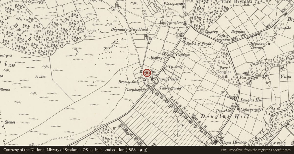Ordnance Survey six-inch map, 2nd edition (1888–1913) covering the location of Fairview, Llandygai, Gwynedd, with a pin at the register's coordinates