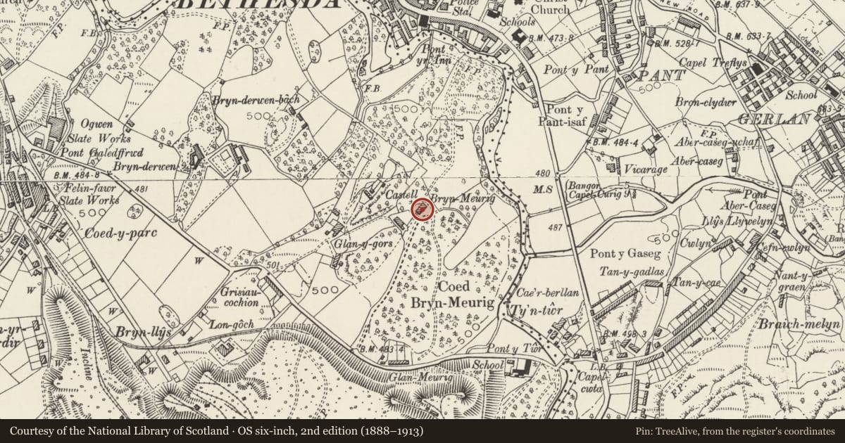 Ordnance Survey six-inch map, 2nd edition (1888–1913) covering the location of Bryn-Meurig, Llandygai, Gwynedd, with a pin at the register's coordinates