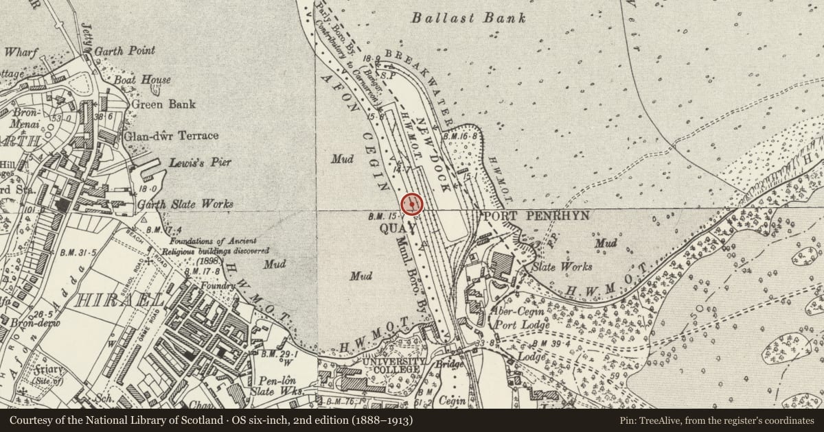 Ordnance Survey six-inch map, 2nd edition (1888–1913) covering the location of New Dock (quay), Llandygai, Gwynedd, with a pin at the register's coordinates