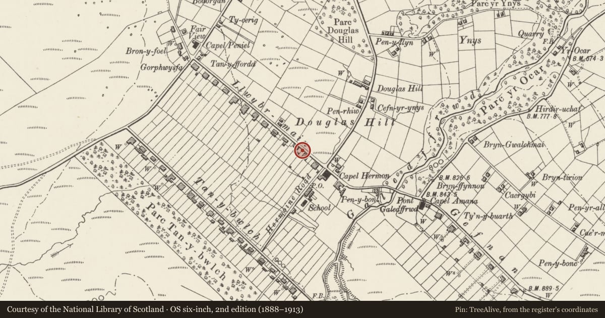 Ordnance Survey six-inch map, 2nd edition (1888–1913) covering the location of Boundary Walls/Slate Fencing to Nos.23 & 24, Llandygai, Gwynedd, with a pin at the register's coordinates