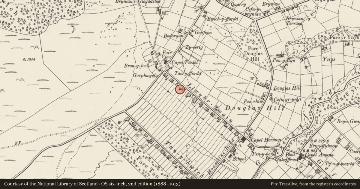 Ordnance Survey six-inch map, 2nd edition (1888–1913) covering the location of Privy to No.7, Llandygai, Gwynedd, with a pin at the register's coordinates