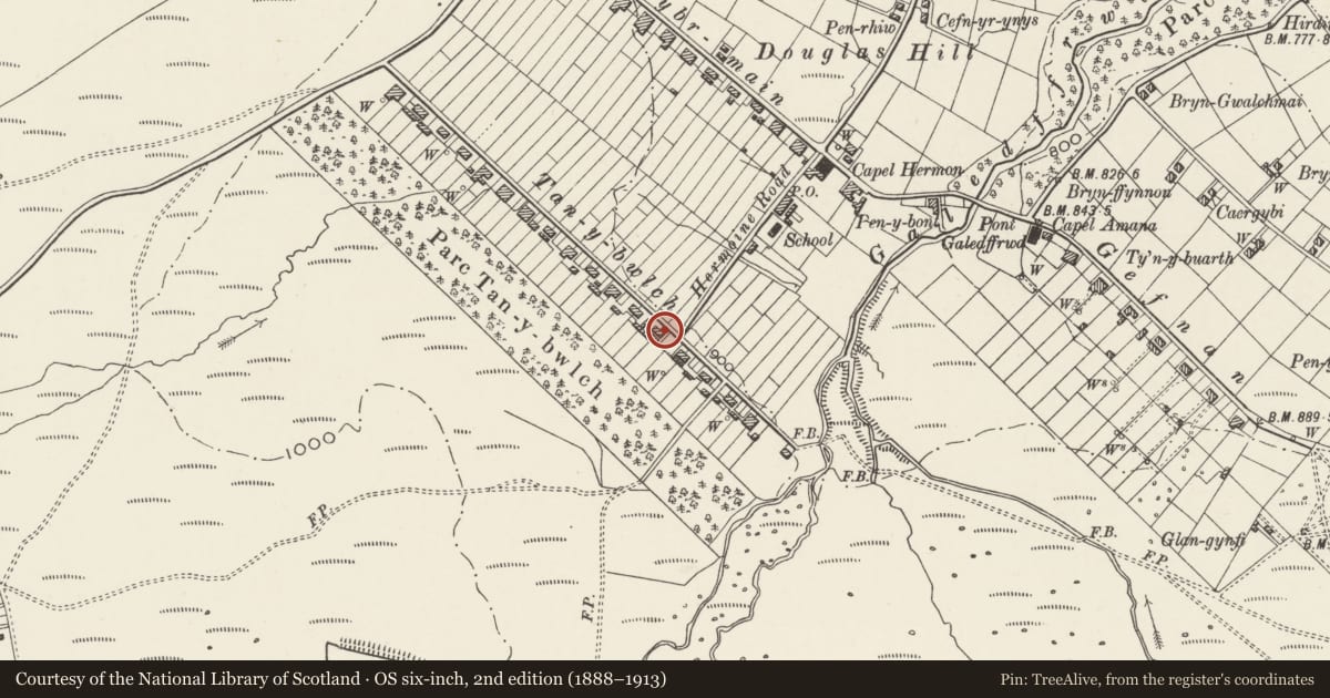 Ordnance Survey six-inch map, 2nd edition (1888–1913) covering the location of Boundary Walls/Slate Fencing to Nos.24 & 25, Llandygai, Gwynedd, with a pin at the register's coordinates