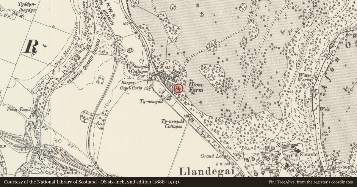 Ordnance Survey six-inch map, 2nd edition (1888–1913) covering the location of Northern Cottage at Home Farm, Llandygai, Gwynedd, with a pin at the register's coordinates