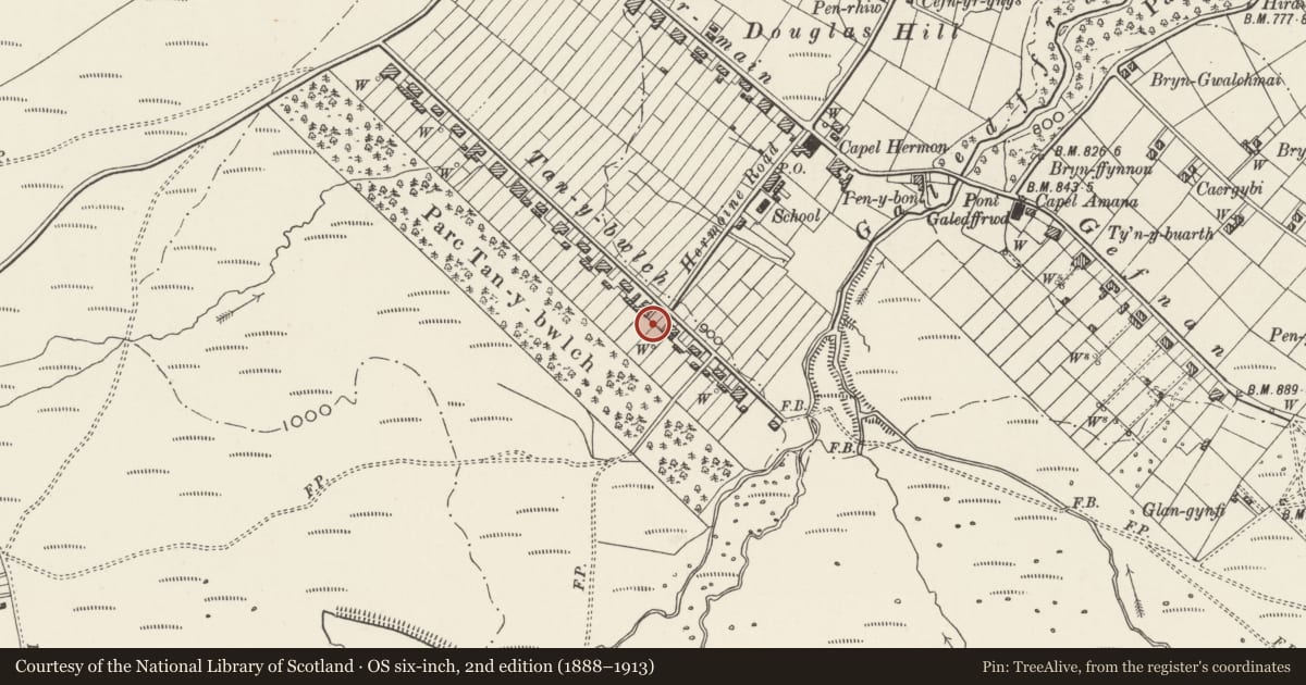 Ordnance Survey six-inch map, 2nd edition (1888–1913) covering the location of Outbuildings to No.24, Llandygai, Gwynedd, with a pin at the register's coordinates