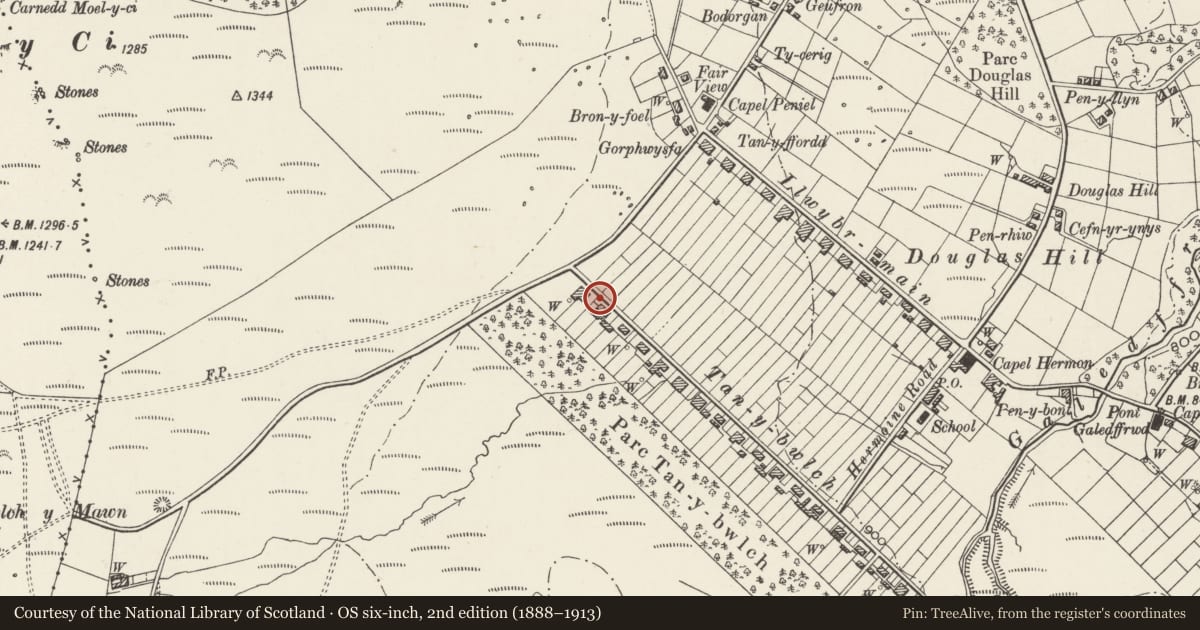 Ordnance Survey six-inch map, 2nd edition (1888–1913) covering the location of Boundary Walls/Slate Fencing to Nos.3 & 4, Llandygai, Gwynedd, with a pin at the register's coordinates