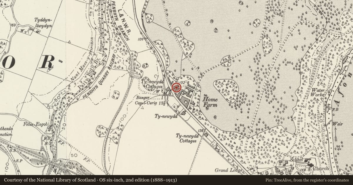 Ordnance Survey six-inch map, 2nd edition (1888–1913) covering the location of Cowhouses and Barn in outer yard at Home Farm, Llandygai, Gwynedd, with a pin at the register's coordinates