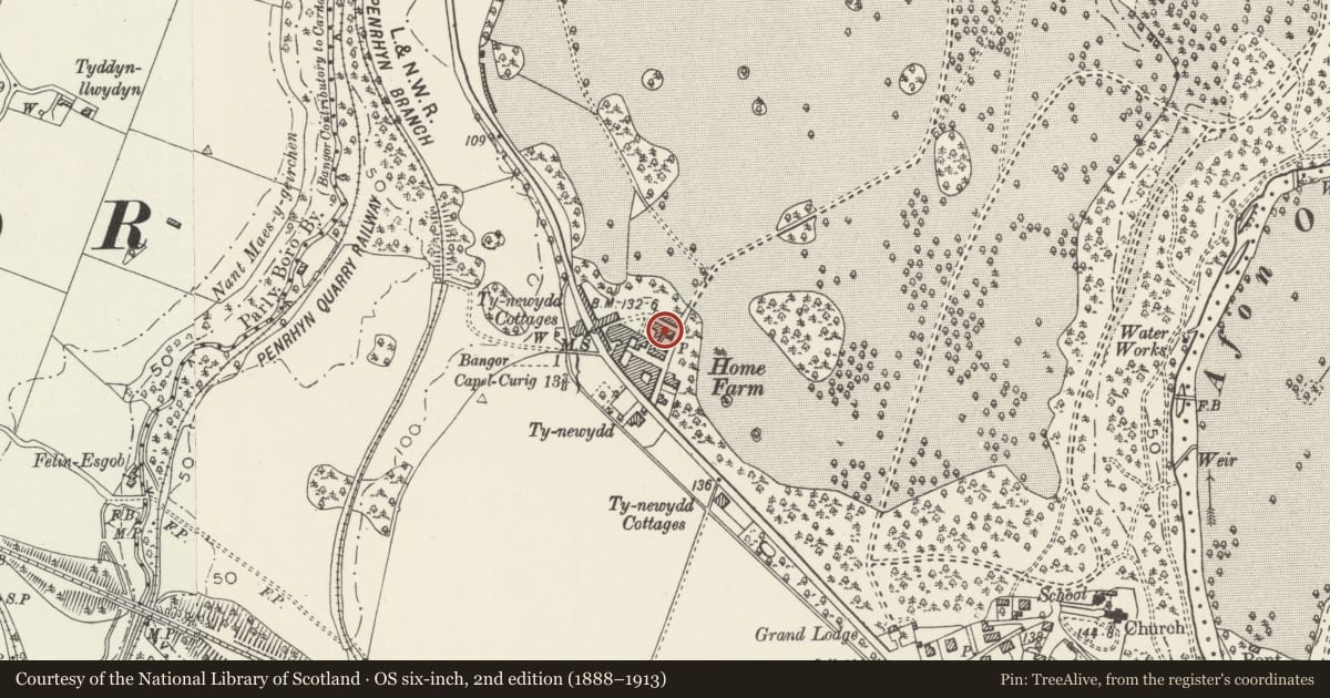 Ordnance Survey six-inch map, 2nd edition (1888–1913) covering the location of H-shaped Cowhouse Range to north of main yard at Home Farm, Llandygai, Gwynedd, with a pin at the register's coordinates