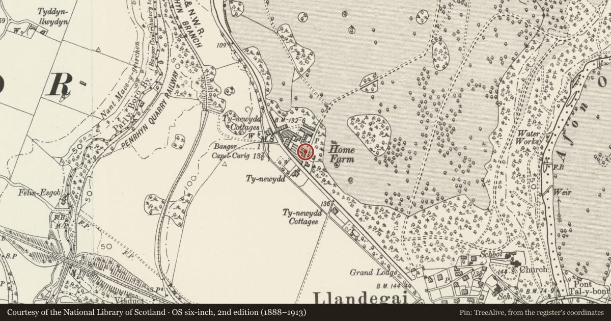 Ordnance Survey six-inch map, 2nd edition (1888–1913) covering the location of L-shaped Stable and Carriage Shed Range to main yard at Home Farm, Llandygai, Gwynedd, with a pin at the register's coordinates