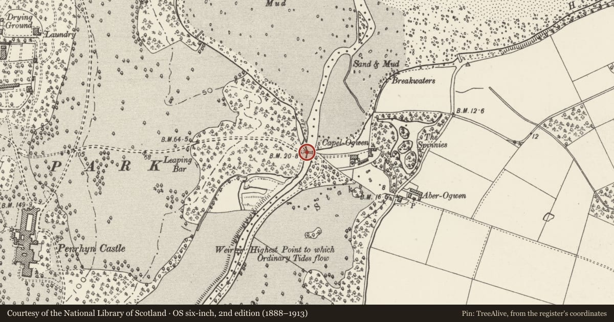 Ordnance Survey six-inch map, 2nd edition (1888–1913) covering the location of Bridge at the mouth of the Afon Ogwen (partly in Llanllechid community), Llandygai, Gwynedd, with a pin at the register's coordinates
