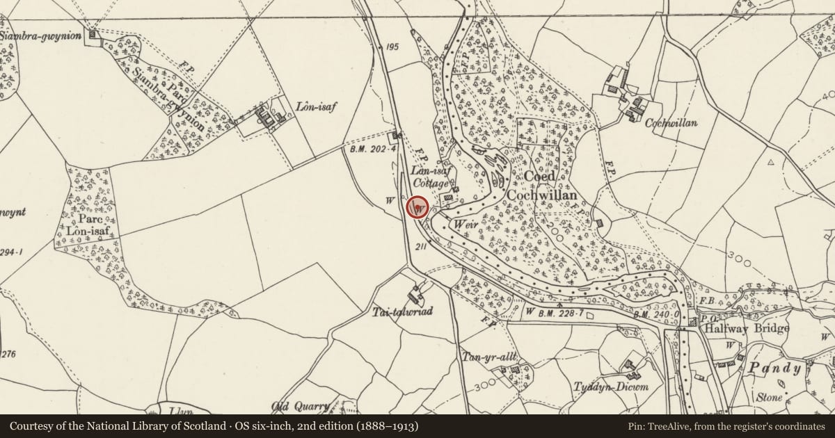 Ordnance Survey six-inch map, 2nd edition (1888–1913) covering the location of Walling and Depots on east side of former turnpike road (old A 5), Llandygai, Gwynedd, with a pin at the register's coordinates