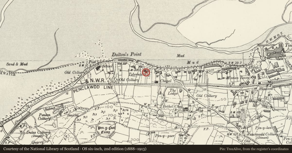 Ordnance Survey six-inch map, 2nd edition (1888–1913) covering the location of Tabernacle Presbyterian Chapel, Llanrhidian Higher, Swansea, with a pin at the register's coordinates